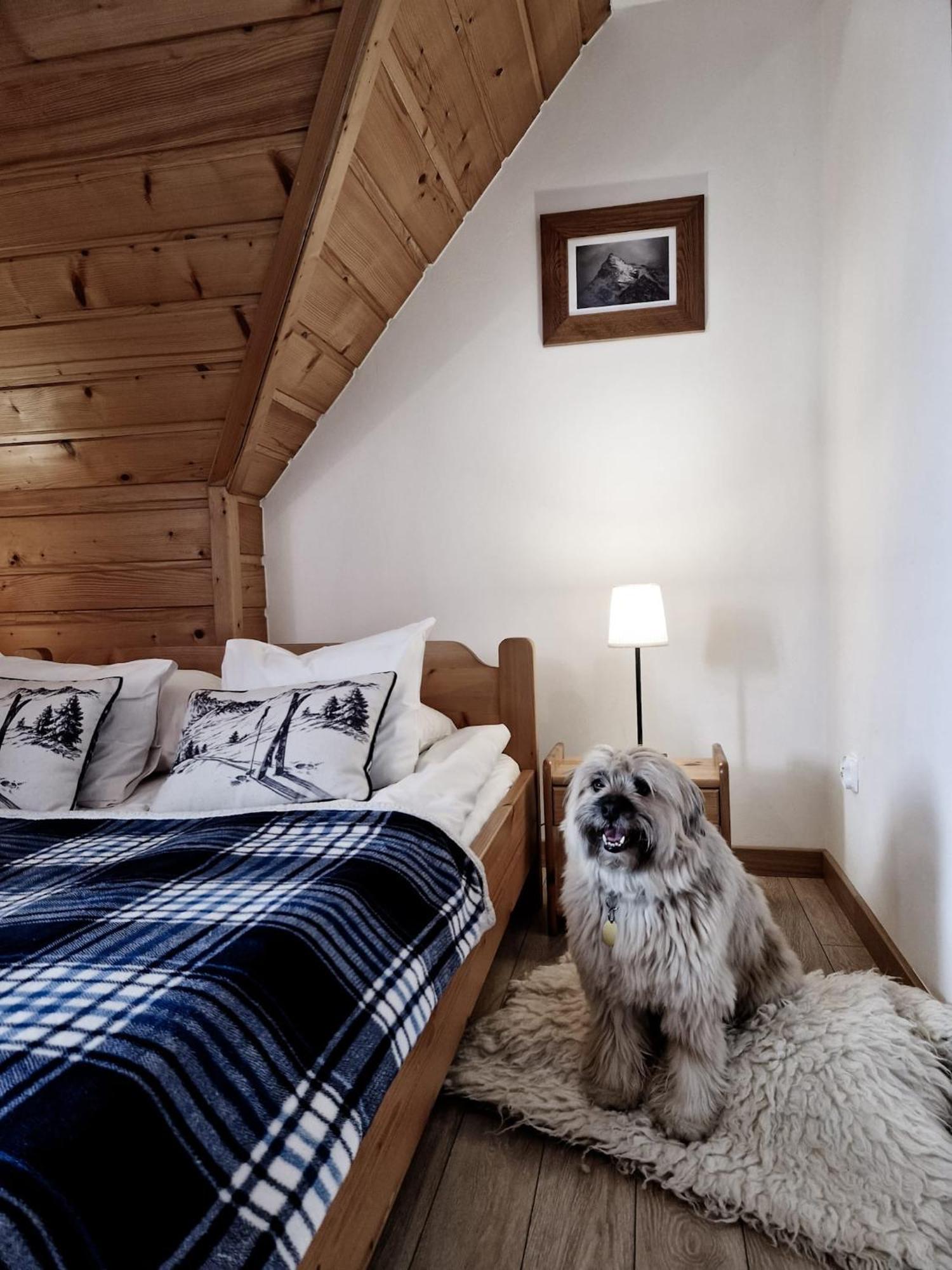 Zakopane Stop B&B 외부 사진